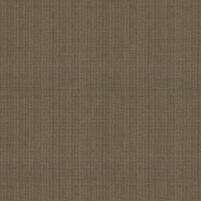 Pattern Twig Beige/Tan Carpet