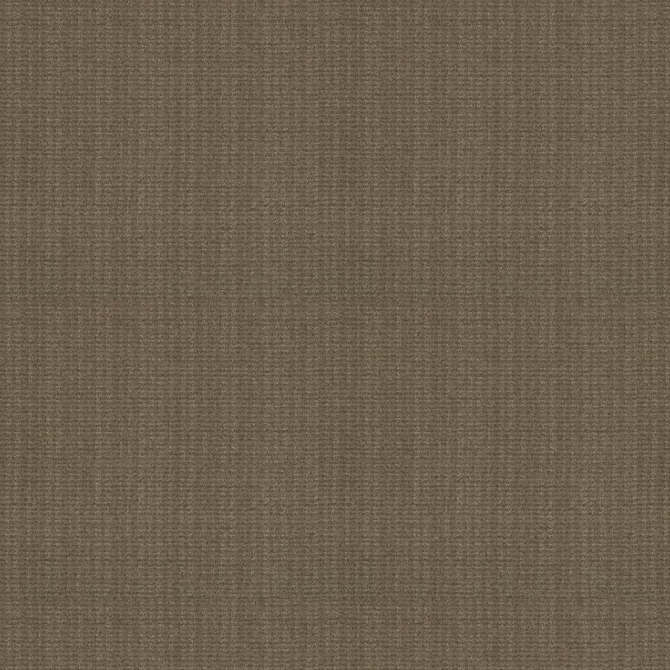 Pattern Twig Beige/Tan Carpet
