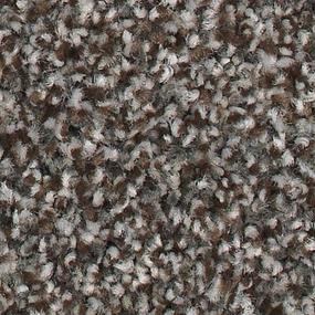 Textured Saxony UNIVERSAL UMBER Brown Carpet