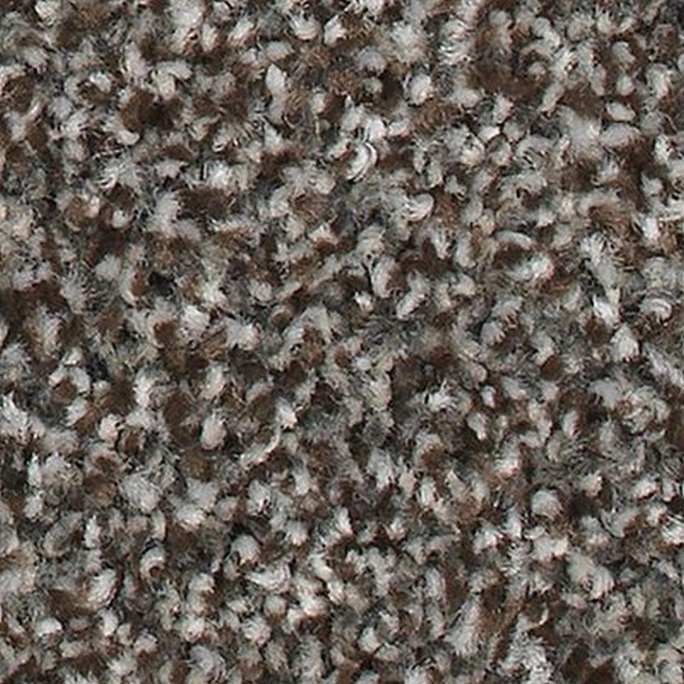 Textured Saxony UNIVERSAL UMBER Brown Carpet