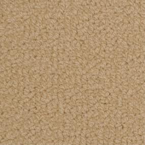 Loop Wiltshire Beige/Tan Carpet