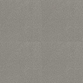 Textured Saxony Enjoyable Gray Carpet