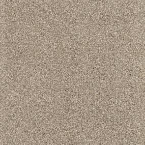 Textured Saxony Shar-Pei Brown Carpet