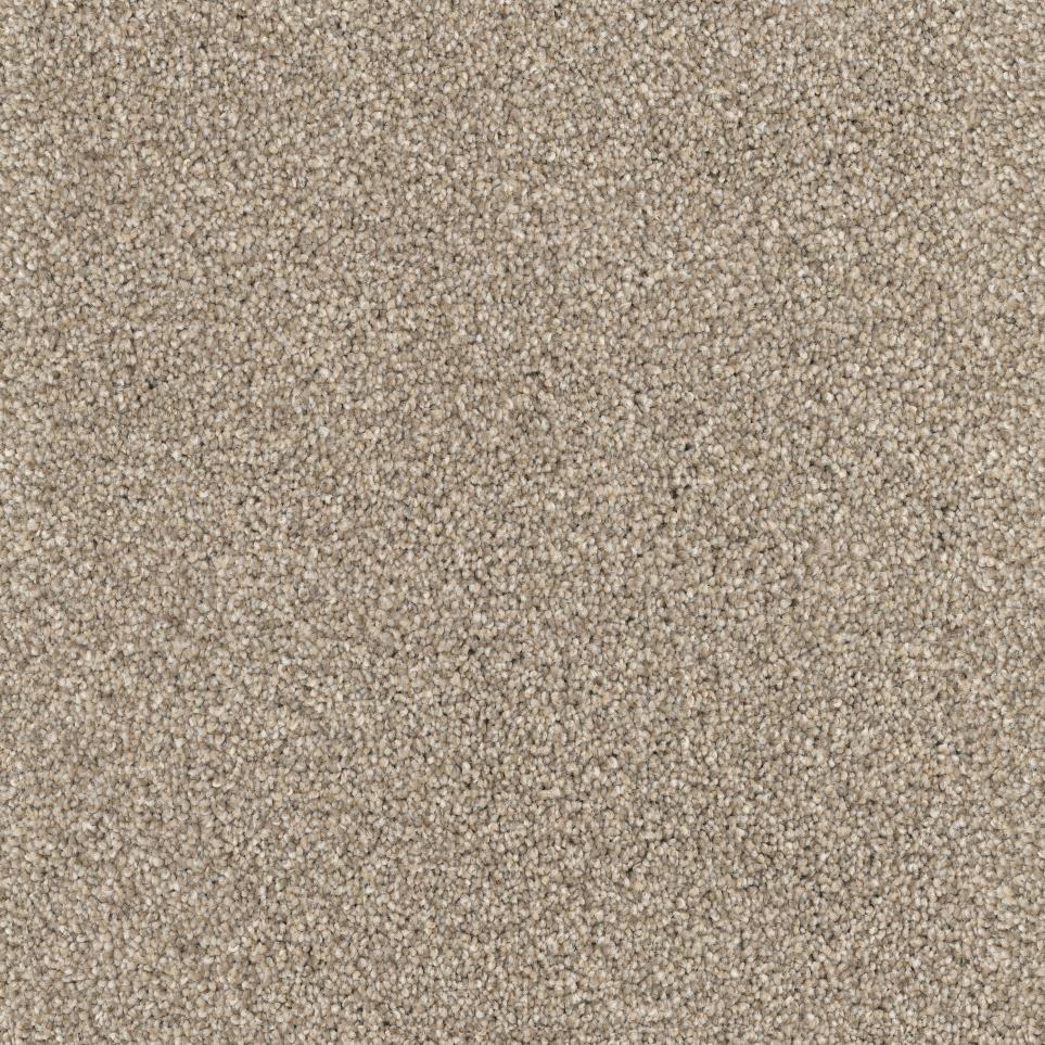 Textured Saxony Shar-Pei Brown Carpet