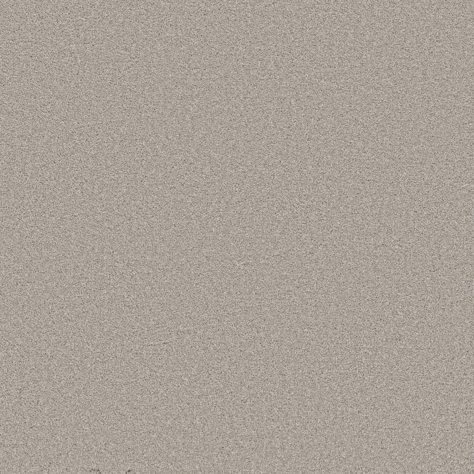 Texture Biscuit Dough Gray Carpet