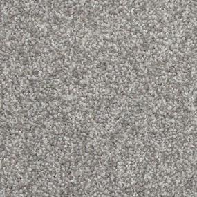 Texture Metallic Gray Carpet
