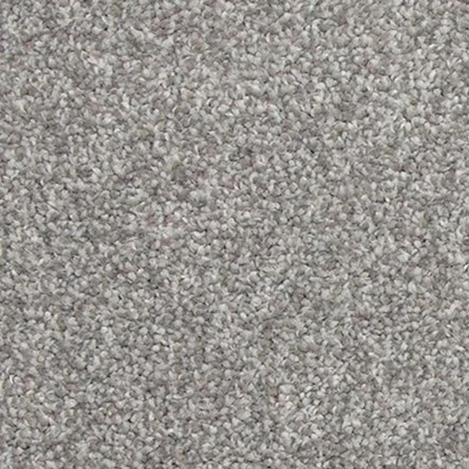 Textured Saxony Metallic Gray Carpet