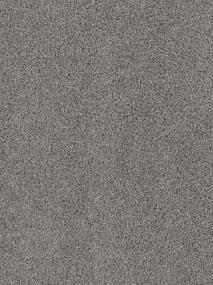 Texture Duration Gray Carpet
