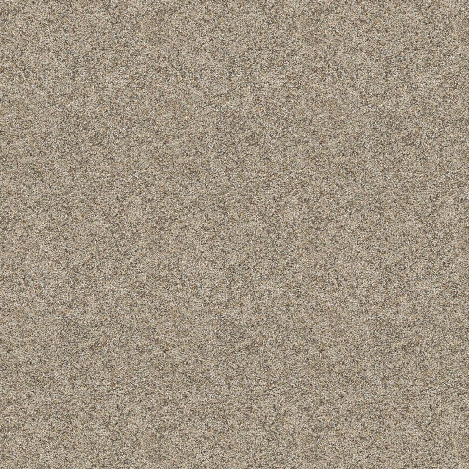 Texture Integrity Beige/Tan Carpet