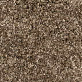 Textured Saxony Unique Beige/Tan Carpet