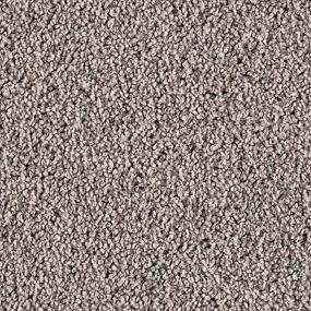 Textured Saxony Mystique Gray Carpet