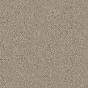 Pattern Pebble Path Brown Carpet