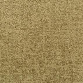 Pattern Palms Beige/Tan Carpet