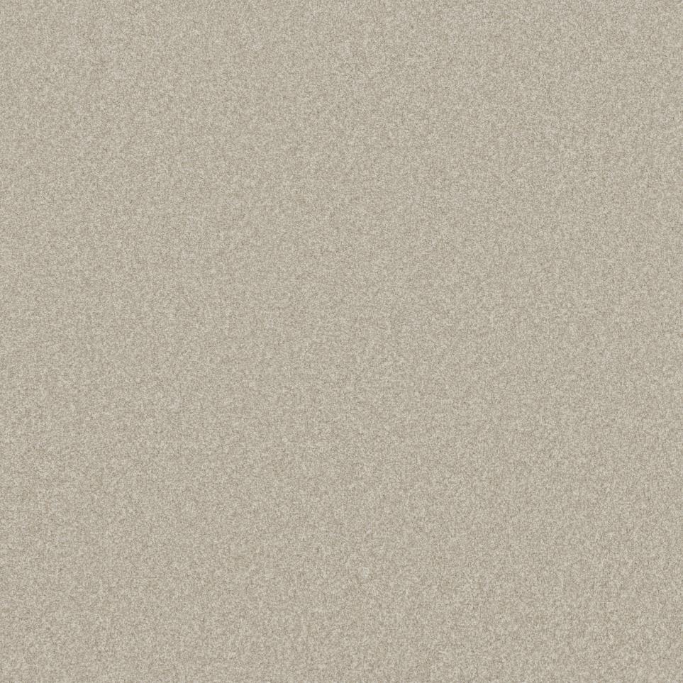 Textured Saxony Chevalier Beige/Tan Carpet