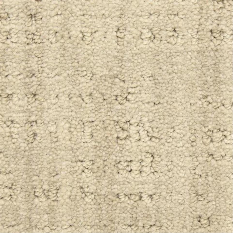 Pattern Hint Of Silver Beige/Tan Carpet