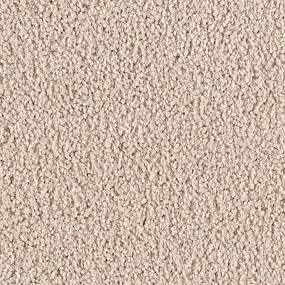 Cut Pile Vintage Brown Carpet