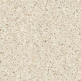 Textured Saxony Creamer Beige/Tan Carpet
