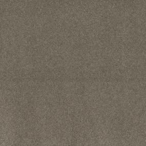 Textured Saxony Barrington Brown Carpet