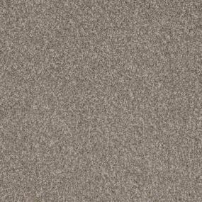 Texture Desire Brown Carpet
