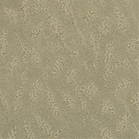 Pattern Driftwood Beige/Tan Carpet