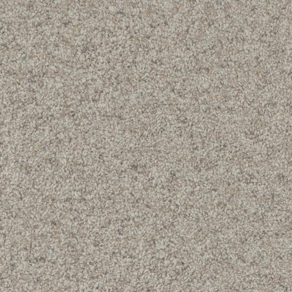 Texture Considerate Beige/Tan Carpet