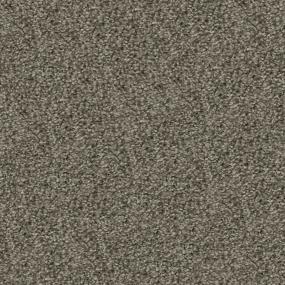 Plush Saxony Whiskers Gray Carpet