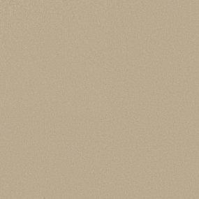 Texture SUMMERTIME Beige/Tan Carpet