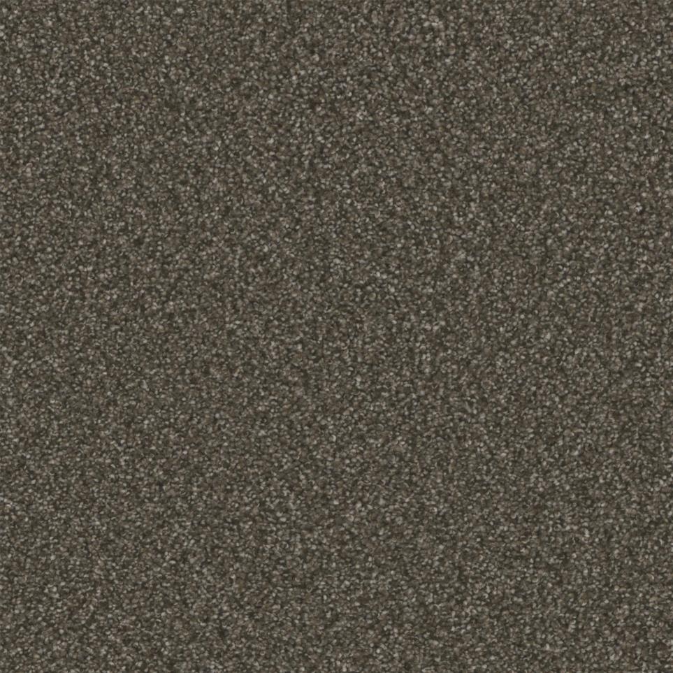 Textured Saxony Best Choice Brown Carpet