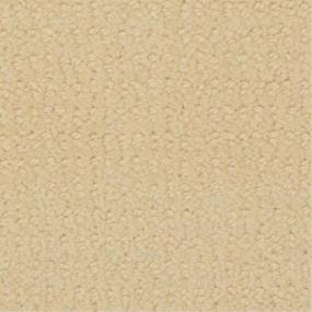 Pattern Champagne Gold Beige/Tan Carpet