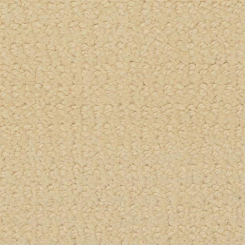 Pattern Champagne Gold Beige/Tan Carpet