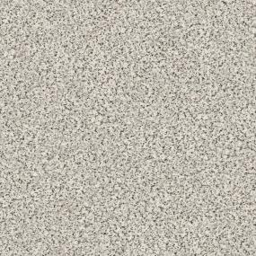 Textured Saxony Majesty Beige/Tan Carpet