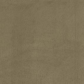 Pattern Doeskin Beige/Tan Carpet