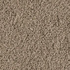 Textured Saxony Teak Brown Carpet