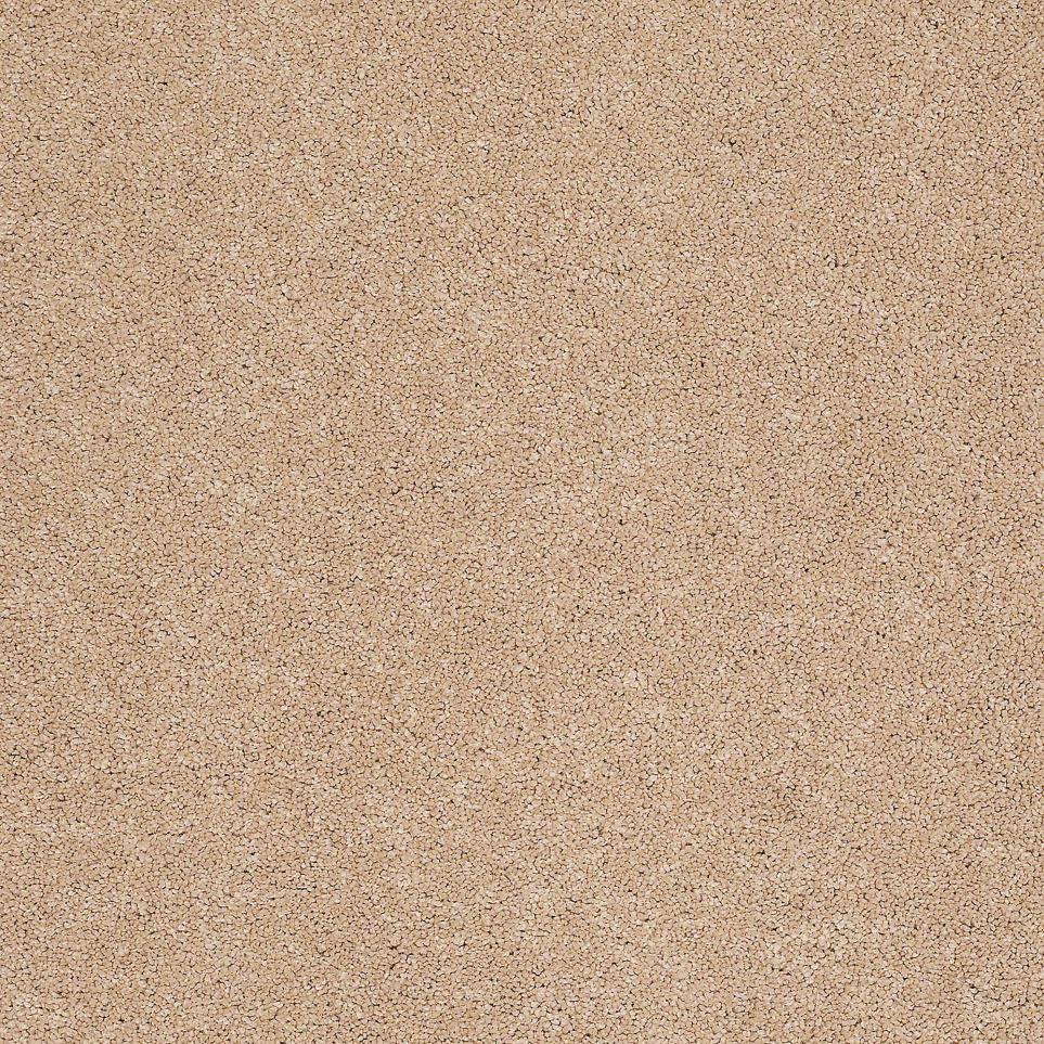 Texture Desert Wave Beige/Tan Carpet