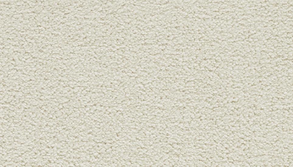 Textured Saxony Creamfield Beige/Tan Carpet