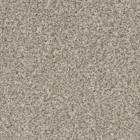 Textured Saxony Calm Beige/Tan Carpet