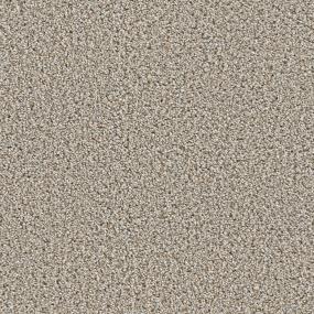 Textured Saxony Traditional Gray Carpet