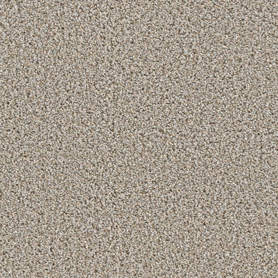 Textured Saxony Traditional Gray Carpet
