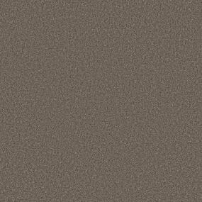 Textured Saxony Prairie Brown Carpet