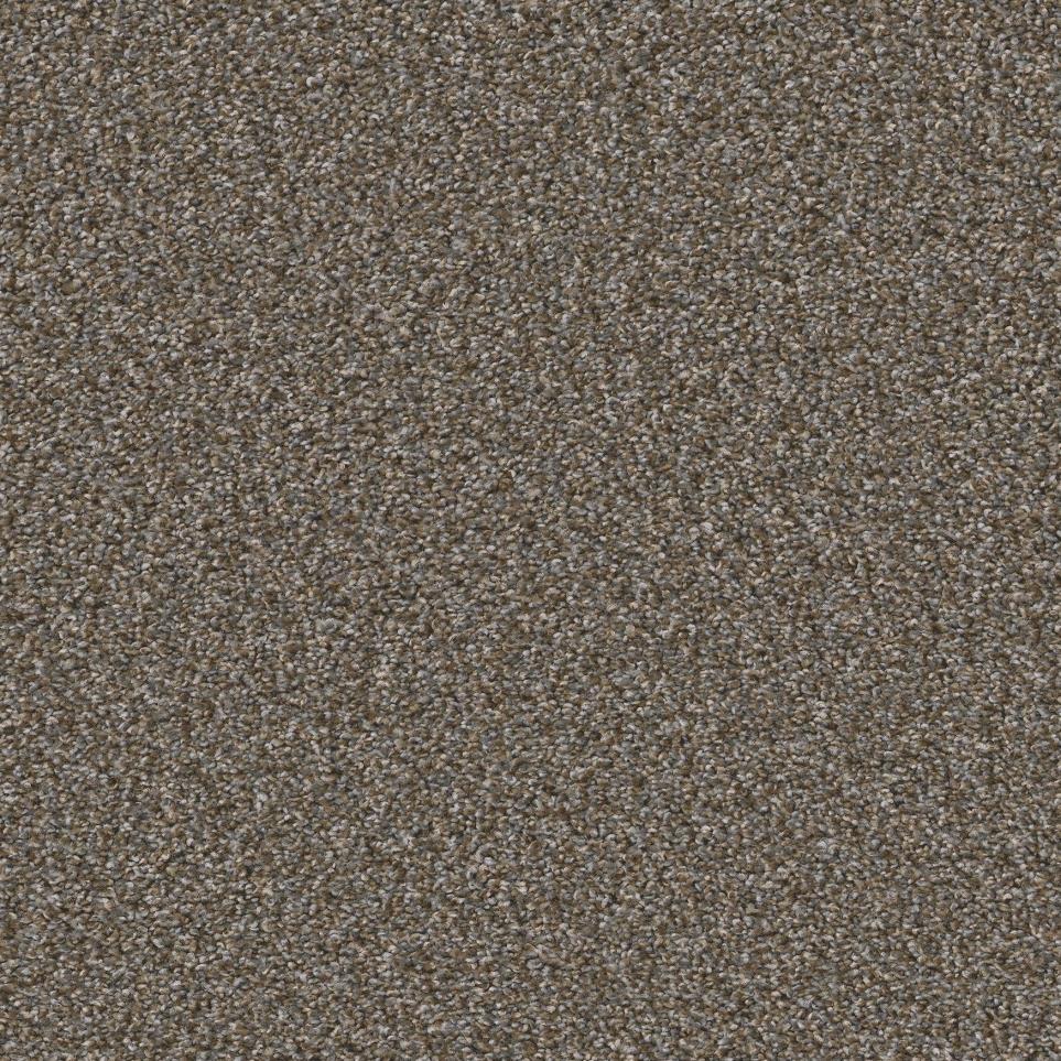 Plush Prairie Brown Carpet