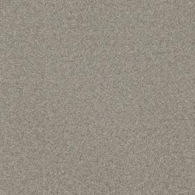 Textured Saxony Royal Beige/Tan Carpet