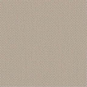 Berber Scroll Beige/Tan Carpet