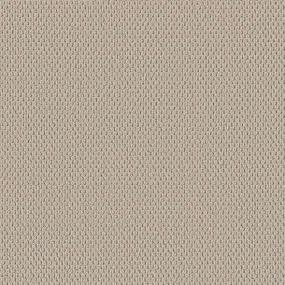 Berber Scroll Beige/Tan Carpet