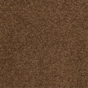 Casual Texture Montego Brown Carpet