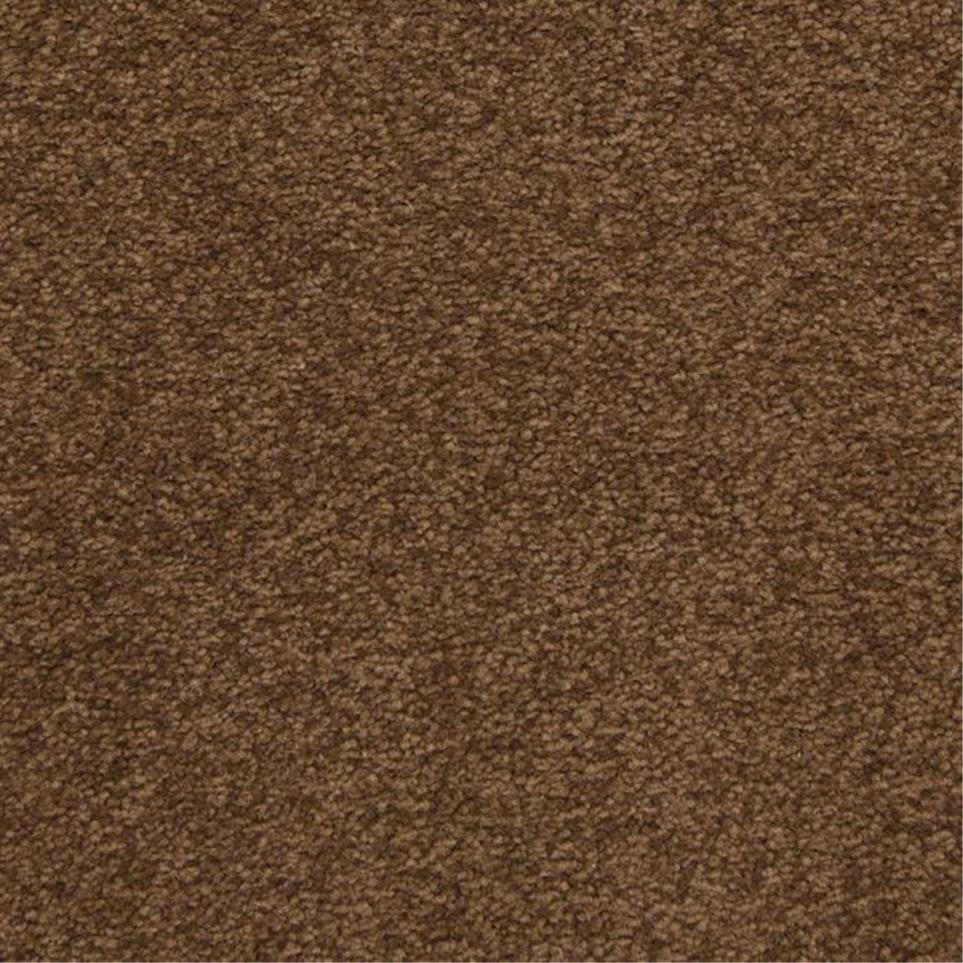 Casual Texture Montego Brown Carpet