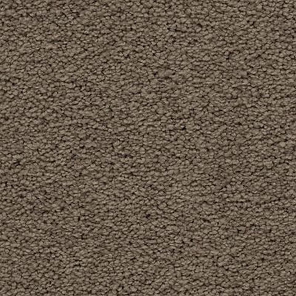 Textured Saxony Enchanting Brown Carpet