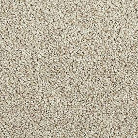 Textured Saxony Enchanting Gray Carpet