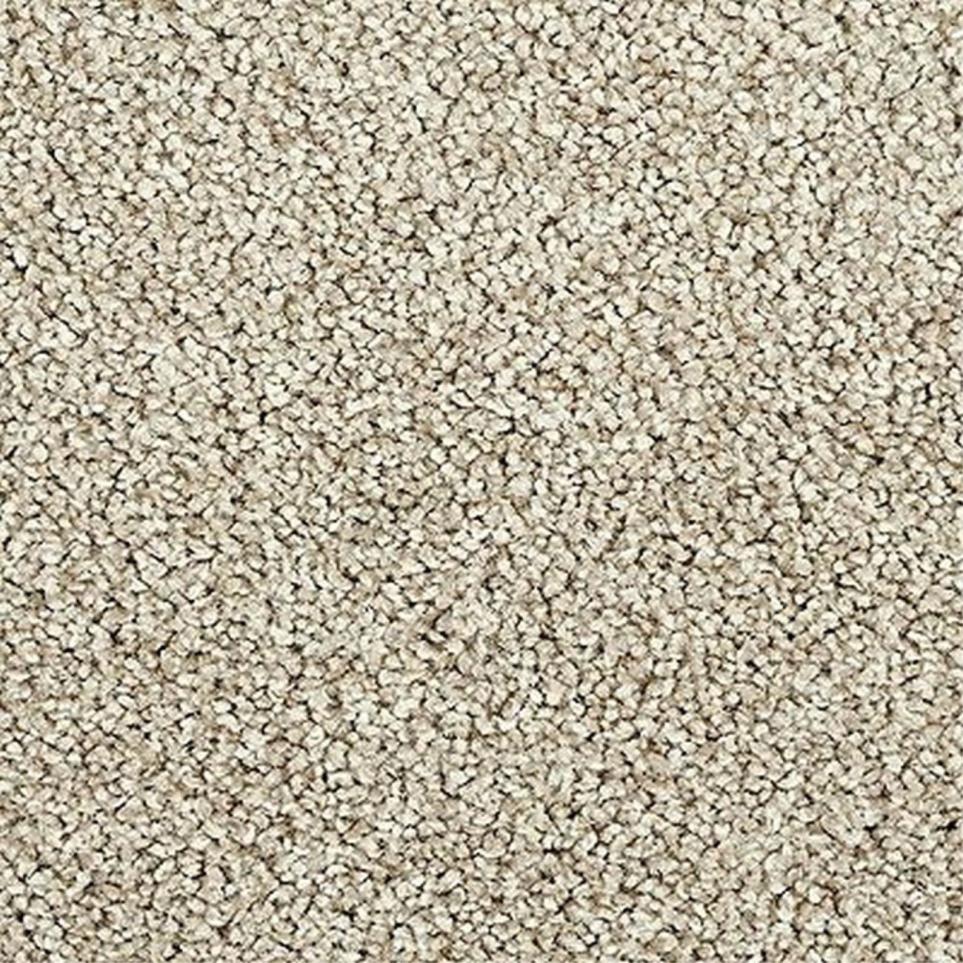 Textured Saxony Enchanting Gray Carpet