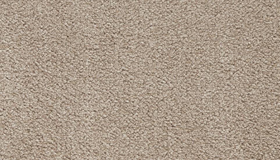 Textured Saxony Eve Brown Carpet