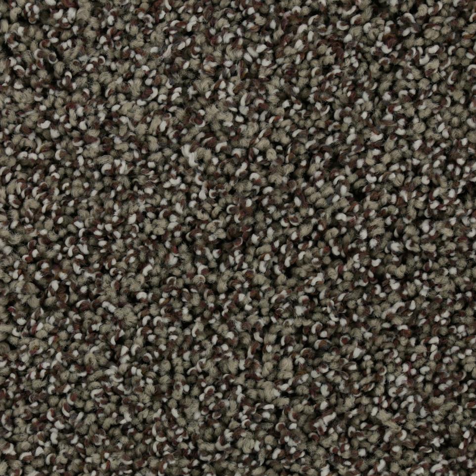 Texture Briar Root Brown Carpet